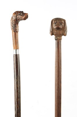 Lot 769 - TWO LATE 19TH CENTURY CARVED DOG'S HEAD WALKING STICKS