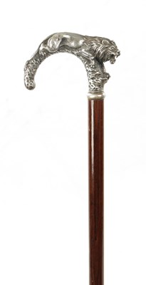 Lot 779 - A LATE 19TH CENTURY SILVER TOPPED WALKING STICK MODELLED AS A PROWLING LION