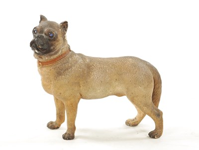 Lot 962 - A LATE 19TH CENTURY COLD PAINTED TERRACOTTA MODEL OF A PUG DOG