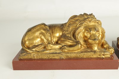 Lot 698 - A PAIR OF LATE 19TH CENTURY GILT BRONZE RECUMBENT LIONS