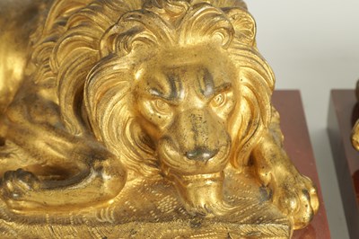 Lot 698 - A PAIR OF LATE 19TH CENTURY GILT BRONZE RECUMBENT LIONS