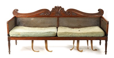 Lot 1439 - AN UNUSUAL REGENCY CAMPHOR WOOD CAMPAIGN SETTEE