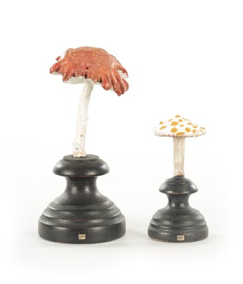 Lot 774 - TWO CARVED WOOD SCULPTURES DEPICTING MUSHROOMS