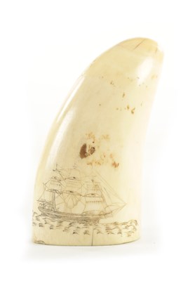 Lot 766 - AN EARLY 19TH CENTURY SAILOR SCRIMSHAW WHALE’S TOOTH