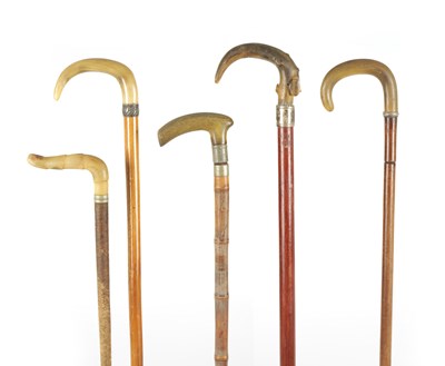 Lot 720 - A COLLECTION OF FOUR HORN HANDLED WALKING STICKS