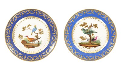 Lot 72 - A GOOD PAIR OF 18TH CENTURY SERVES CABINET PLATES