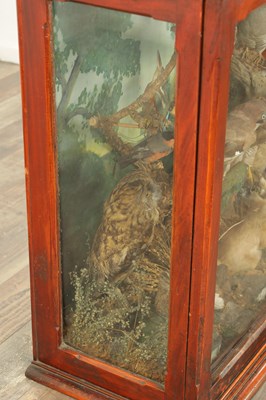 Lot 806 - A GOOD VICTORIAN CASED TAXIDERMY