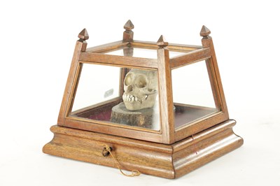 Lot 868 - AN UNUSUAL 19TH CENTURY TAXIDERMY MONKEY SKULL IN GLAZED CABINET