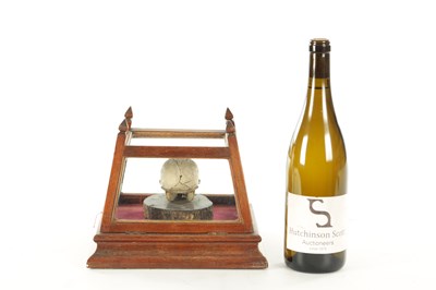 Lot 868 - AN UNUSUAL 19TH CENTURY TAXIDERMY MONKEY SKULL IN GLAZED CABINET