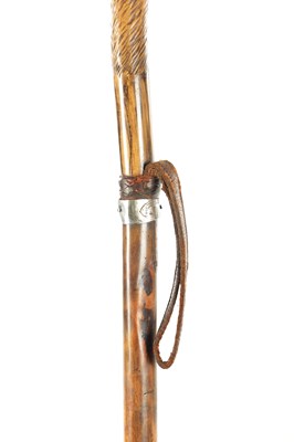 Lot 726 - A 19TH CENTURY CARVED LINDEN WOOD BLACK FOREST WALKING STICK MODELLED AS A HARE