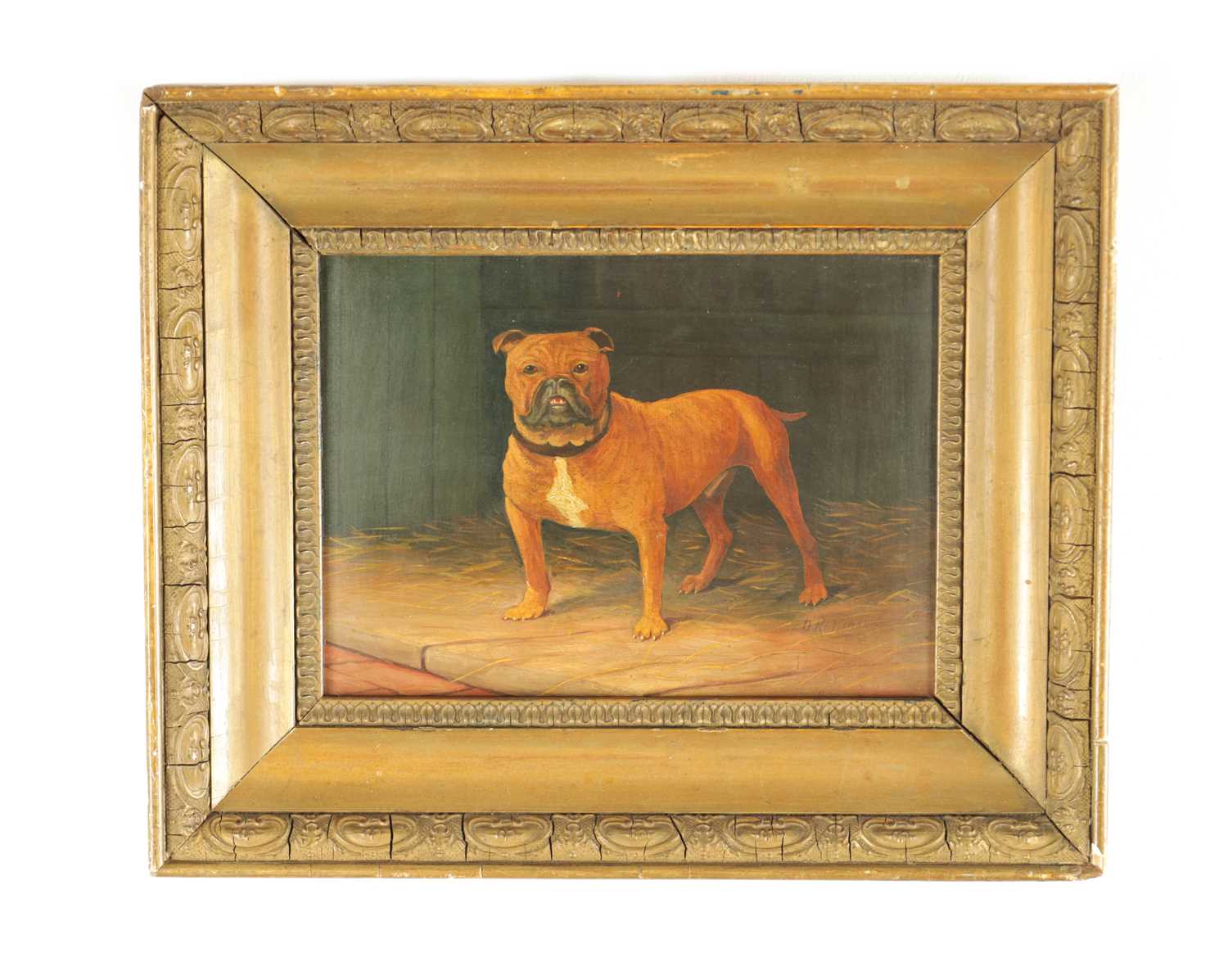 Lot 896 - AN EARLY 20TH CENTURY OIL ON BOARD PORTRAIT OF A BULLDOG