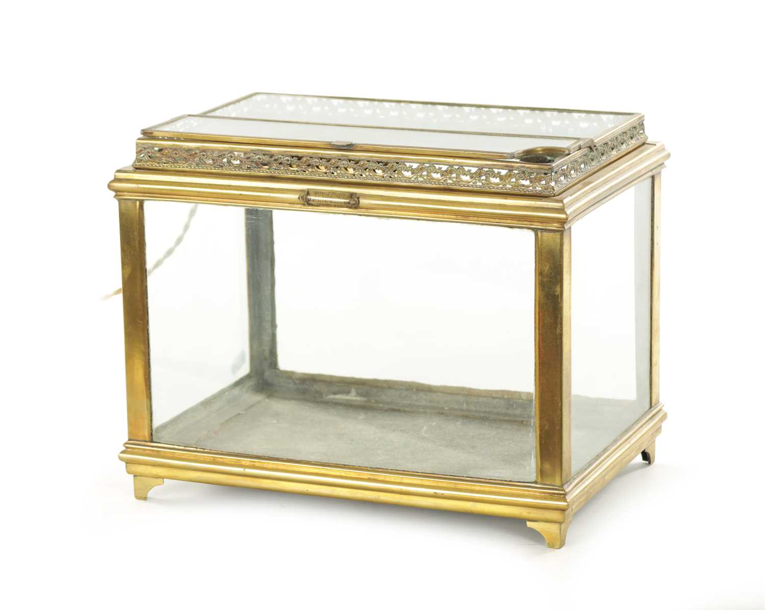 Lot 890 - AN EARLY 20TH CENTURY BRASS CASED VIVARIUM/TERRARIUM