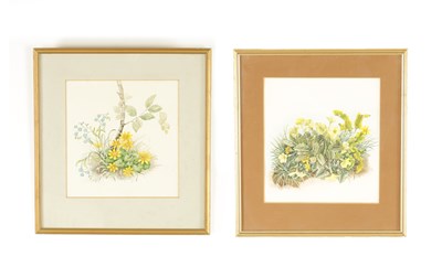 Lot 991 - LAWRENCE BURNETT GOWING (1918-1991) A PAIR OF FLORAL STUDY WATERCOLOURS