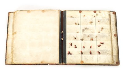 Lot 632 - A 19TH CENTURY LEATHER BOUND BOOK CONTAINING VARIOUS TROUT FISHING FLIES