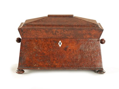 Lot 735 - AN EARLY 19TH CENTURY REGENCY BURR YEW-WOOD SARCOPHAGUS SHAPED TEA-CADDY