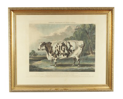 Lot 757 - FORE’S PORTRAITS OF PRIZE CATTLE - PLATE 10