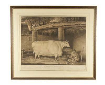 Lot 758 - A 19TH CENTURY ENGRAVED PRINT “ A SHORT HORNED HEIFER AFTER THOMAS WEAVER”