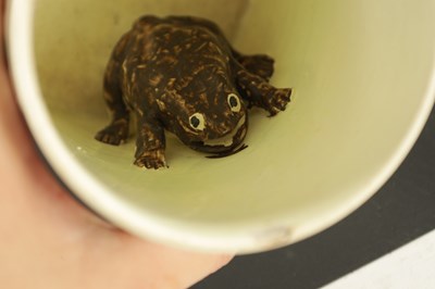 Lot 356 - TWO LATE 18TH CENTURY YORKSHIRE CREAMWARE FROG MUGS