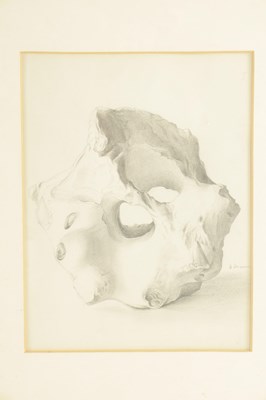 Lot 892 - MARION ADNAMS (1898-1995). TWO MID 20TH CENTURY PENCIL DRAWINGS