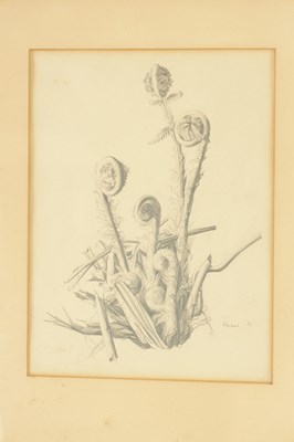 Lot 892 - MARION ADNAMS (1898-1995). TWO MID 20TH CENTURY PENCIL DRAWINGS