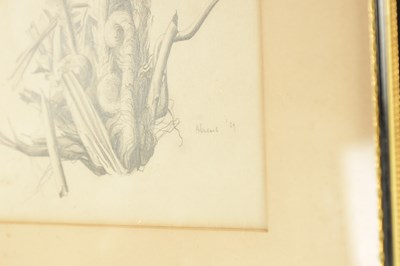 Lot 892 - MARION ADNAMS (1898-1995). TWO MID 20TH CENTURY PENCIL DRAWINGS