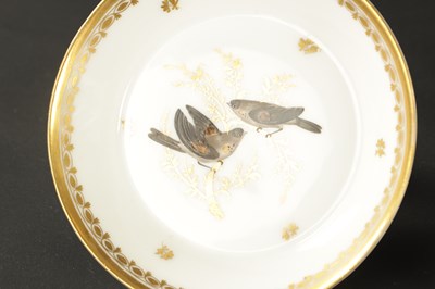 Lot 52 - TWO 18TH CENTURY PARIS PORCELAIN CYLINDRICAL TEAPOTS TOGETHER WITH A PARIS COFFEE CUP AND SAUCER PAINTED WITH BIRDS AND THREE OTHER COFFEE CANS