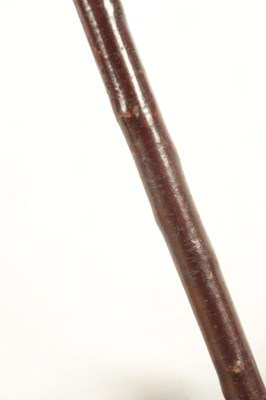 Lot 467 - AN EARLY 20TH CENTURY SILVER MOUNTED HAZEL WALKING STICK