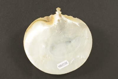 Lot 760 - A CARVED EASTERN MOTHER OF PEARL SHELL