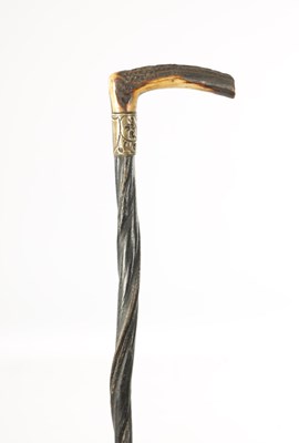 Lot 459 - A LATE 19TH CENTURY BULL'S PENIS WALKING STICK