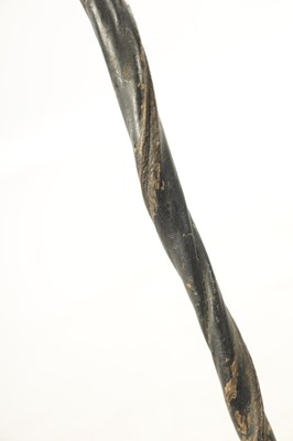 Lot 459 - A LATE 19TH CENTURY BULL'S PENIS WALKING STICK