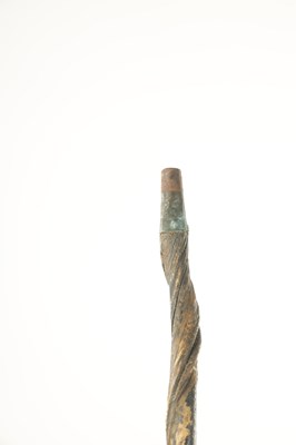 Lot 459 - A LATE 19TH CENTURY BULL'S PENIS WALKING STICK