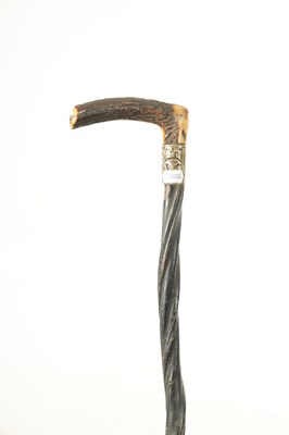 Lot 459 - A LATE 19TH CENTURY BULL'S PENIS WALKING STICK