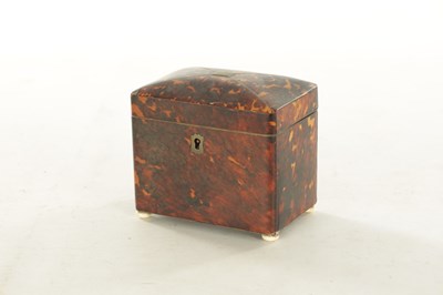 Lot 1209 - A REGENCY TORTOISESHELL VENEERED TEA CADDY