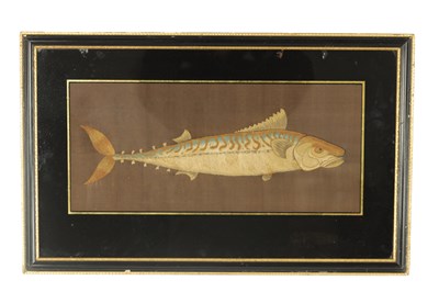 Lot 935 - A LATE 19TH CENTURY SILK WORK EMBROIDERY OF A FISH