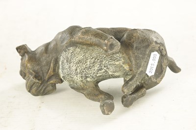 Lot 714 - FRANZ BERGMAN A 20TH CENTURY COLD PAINTED BRONZE SCULPTURE