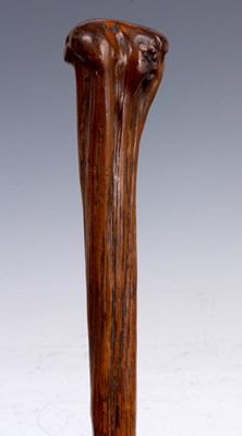 Lot 361 - A LATE 19TH CENTURY HOLLY WOOD WALKING STICK...