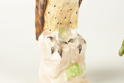 Lot 100 - TWO 19TH CENTURY ERNST BOHNE & SOHNE PORCELAIN SCULPTURES OF BIRDS