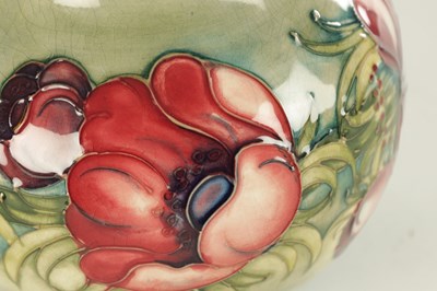 Lot 40 - AN ANEMONE PATTERN MOORCROFT VASE