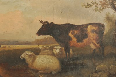 Lot 845 - M. JACKSON A LATE 19TH CENTURY OIL ON BOARD CATTLE AND SHEEP IN A LANDSCAPE