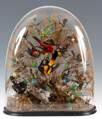 Lot 501 - A VICTORIAN GLASS CASED COLLECTION OF...