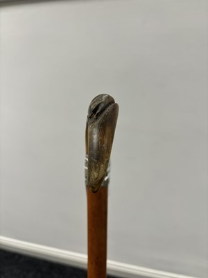 Lot 495 - A 19TH CENTURY MALACCA CANE WALKING STICK WITH CARVED RHINO HORN HANDLE