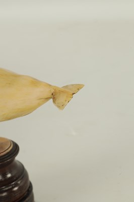 Lot 759 - A 19TH CENTURY SCRIMSHAW-CARVED MARINE IVORY SCULPTURE MODELLED AS A SPERM WHALE