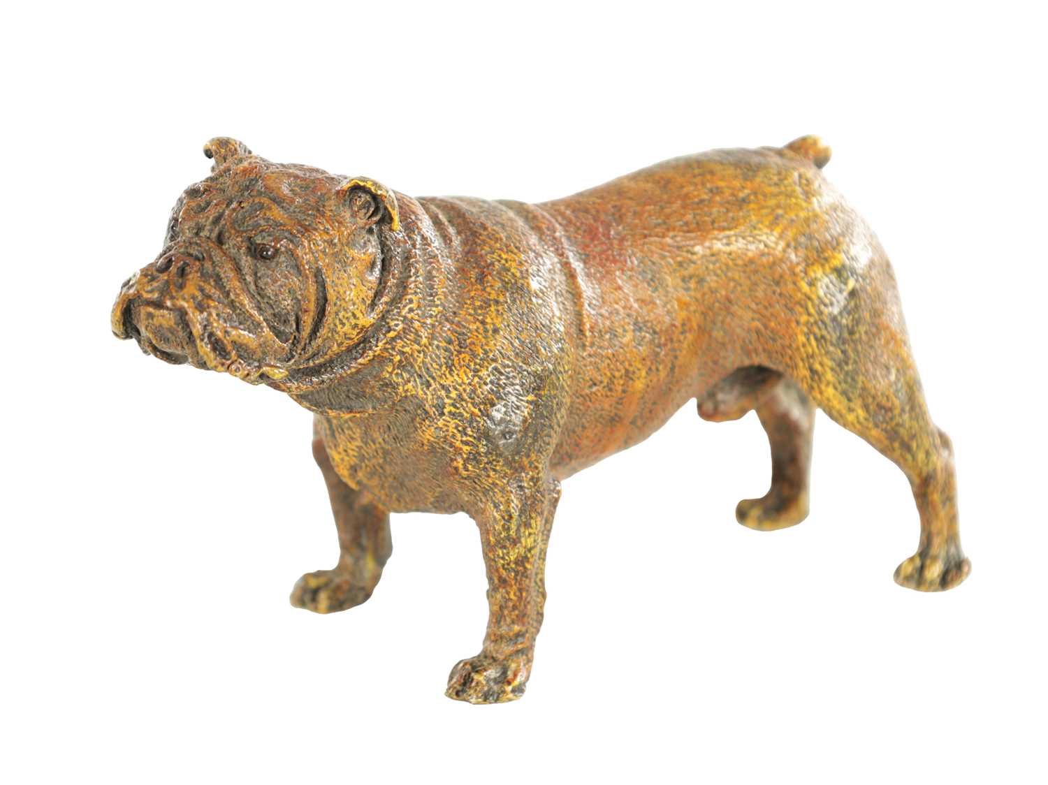 680 - A 20TH CENTURY COLD PAINTED BRONZE SCULPTURE OF A BULLDOG BY BERGMAN