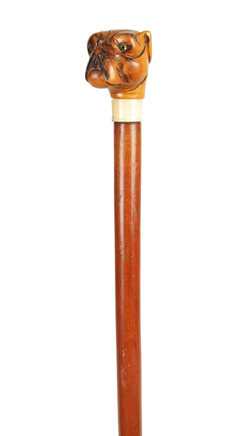 Lot 493 - A LATE 19TH CENTURY BOXWOOD CARVED BULLDOG HANDLED WALKING STICK WITH ENCLOSED OPIUM PIPE
