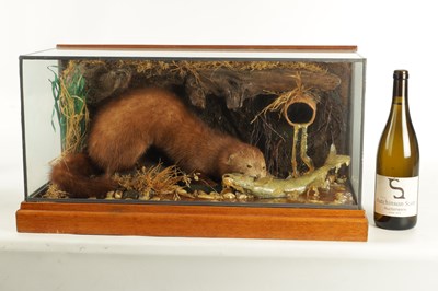 Lot 805 - AN EARLY TO MID 20TH CENTURY CASED TAXIDERMIC MINK AND FISH ARRANGEMENT