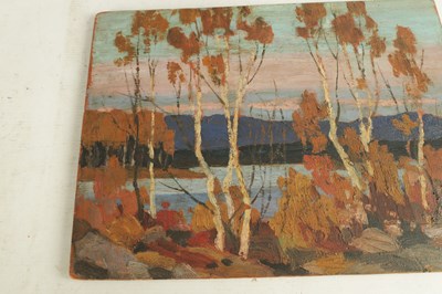 Lot 843 - ATT. TOM THOMSON (CANADIAN 1877-1917) OIL ON PANEL