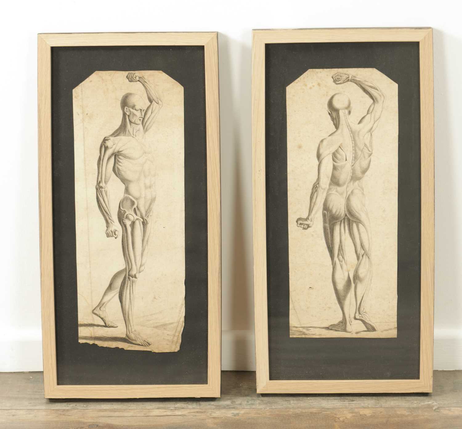 Lot 841 - AFTER DA VINCI A PAIR OF 18TH / 19TH CENTURY MONOCHROME ANATOMICAL ENGRAVED PRINTS