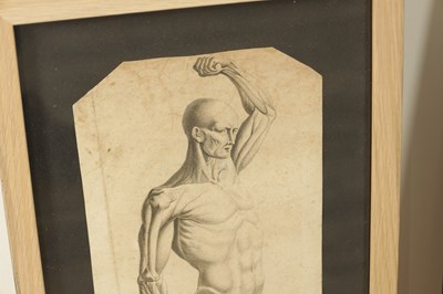 Lot 841 - AFTER DA VINCI A PAIR OF 18TH / 19TH CENTURY MONOCHROME ANATOMICAL ENGRAVED PRINTS