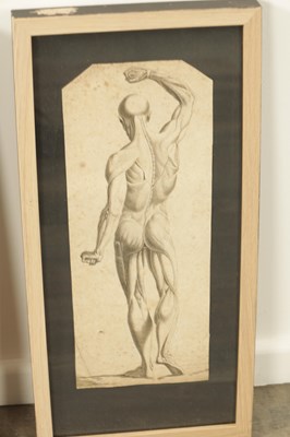 Lot 841 - AFTER DA VINCI A PAIR OF 18TH / 19TH CENTURY MONOCHROME ANATOMICAL ENGRAVED PRINTS