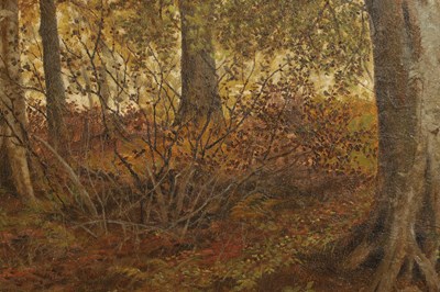 Lot 1042 - HENRY JOHN KINNAIRD (1880-1908). A 19TH CENTURY OIL ON CANVAS WOODLAND SCENE